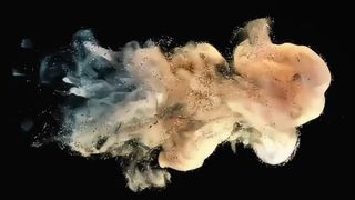 Проявитель Toshiba D5070 500 г для e-STUDIO